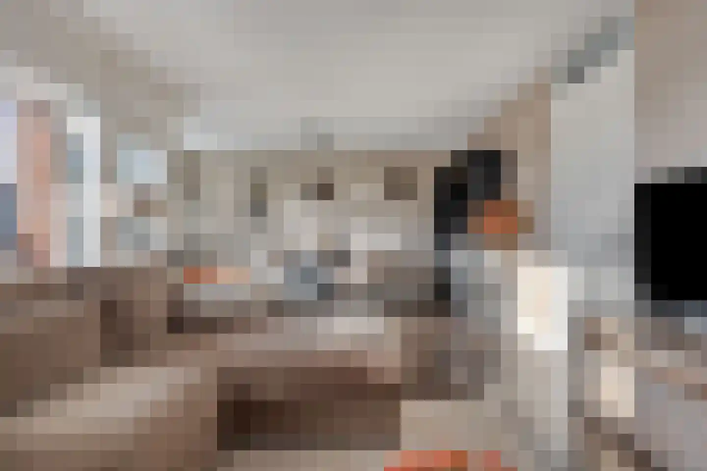 Oude Spaarneweg 81 Cruquius thumbnail 7