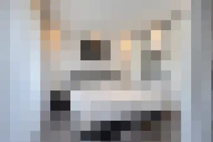 Oude Spaarneweg 85 Cruquius thumbnail 16