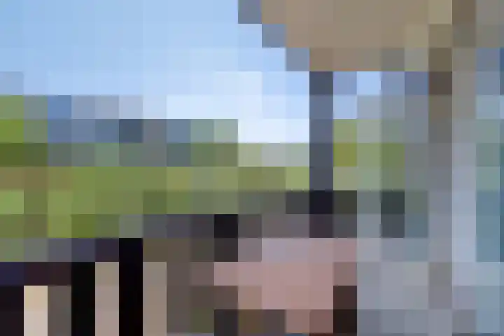 Oude Spaarneweg 85 Cruquius thumbnail 21