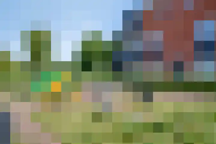 Oude Spaarneweg 85 Cruquius thumbnail 24