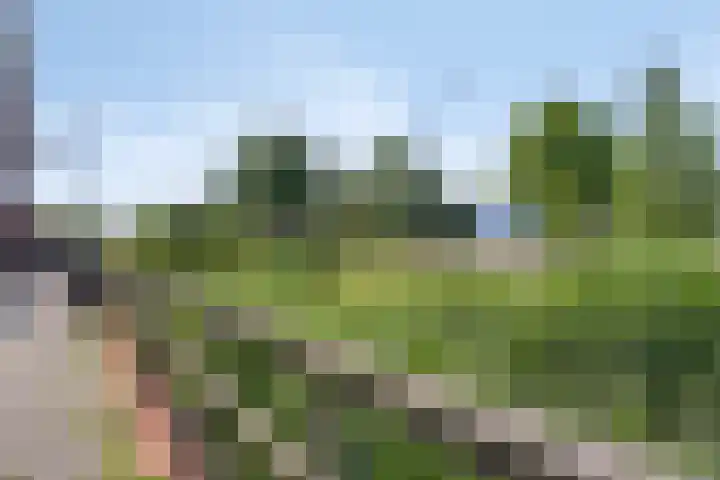 Oude Spaarneweg 85 Cruquius thumbnail 32