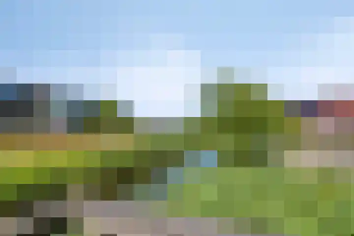 Oude Spaarneweg 85 Cruquius thumbnail 33