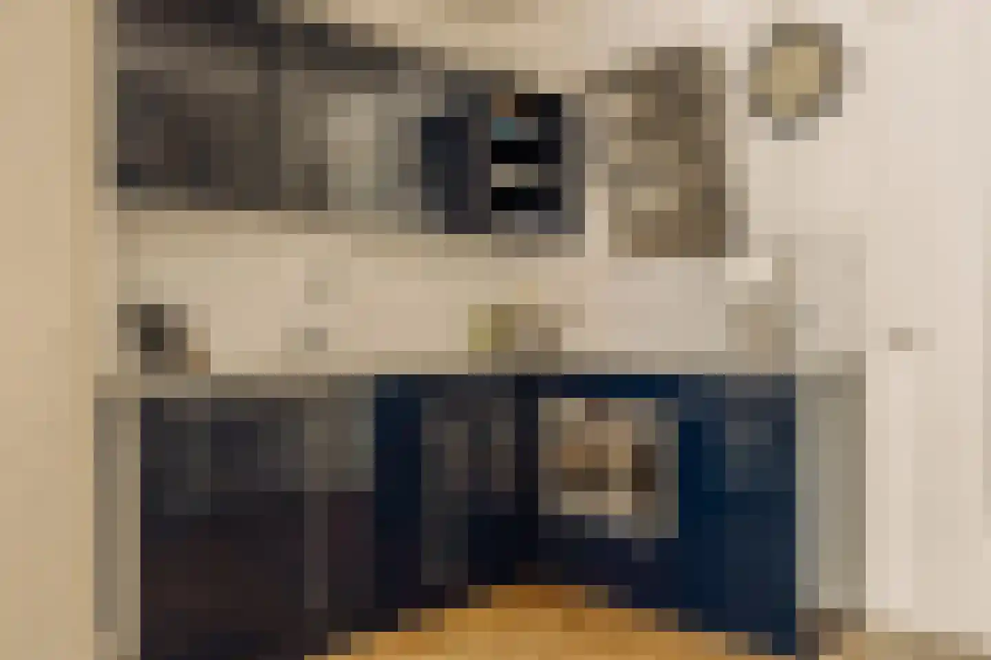 Oude Spiegelstraat 6 B Amsterdam thumbnail 13