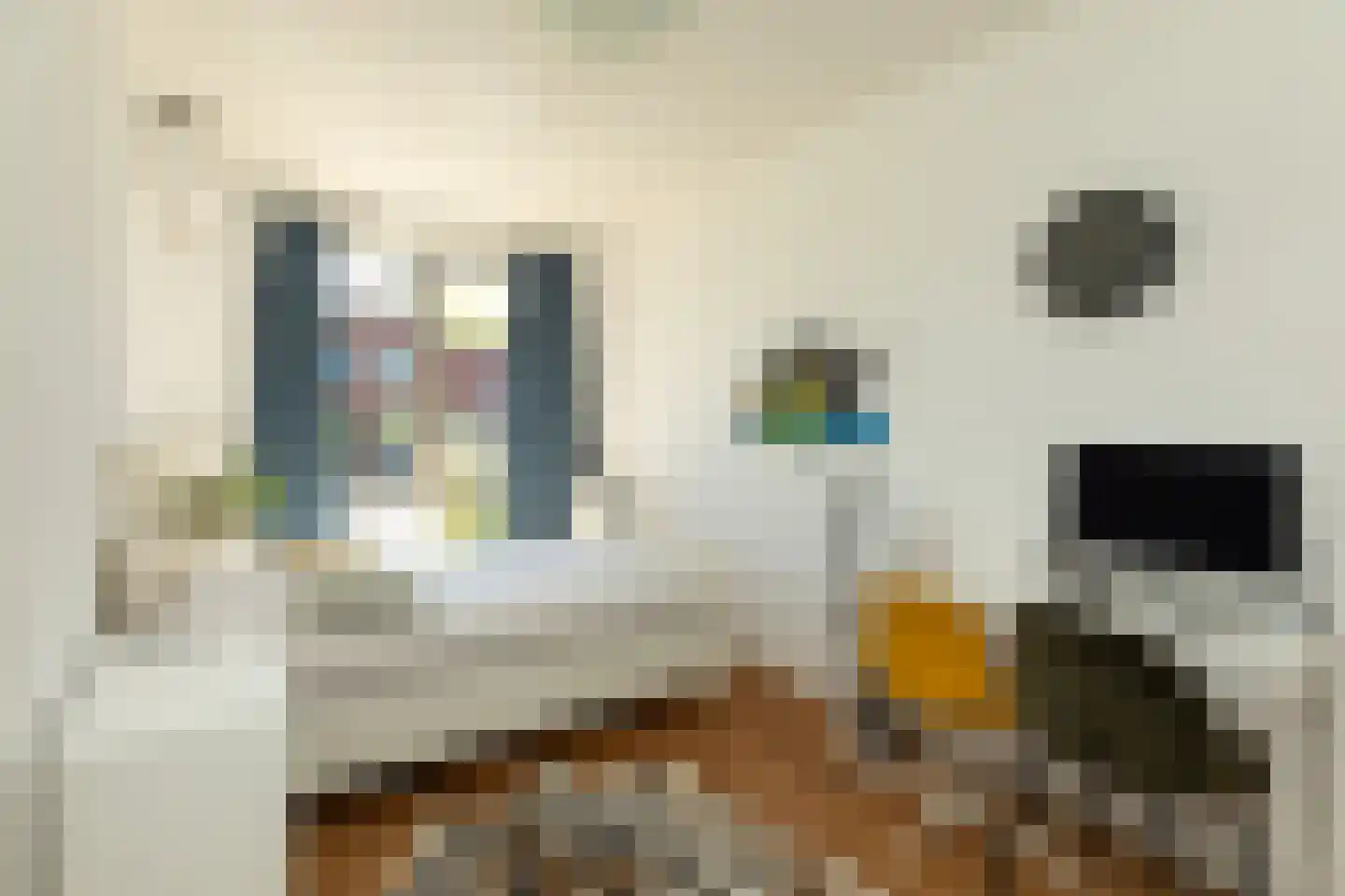 Oude Spoorbaan 46 Hilversum thumbnail 19