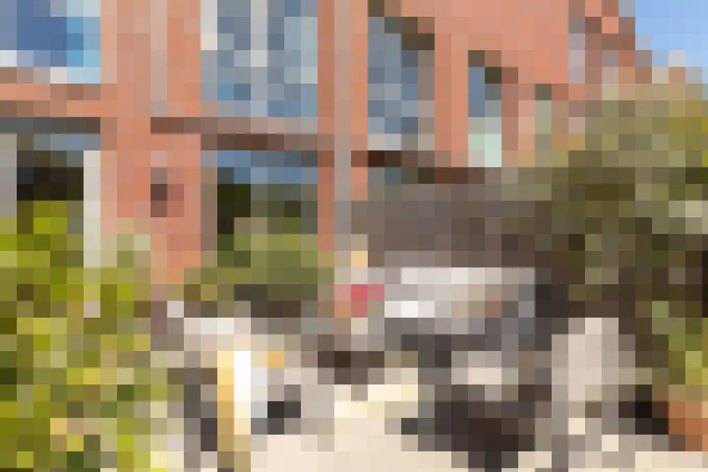 Oude Spoorbaan 46 Hilversum thumbnail 37