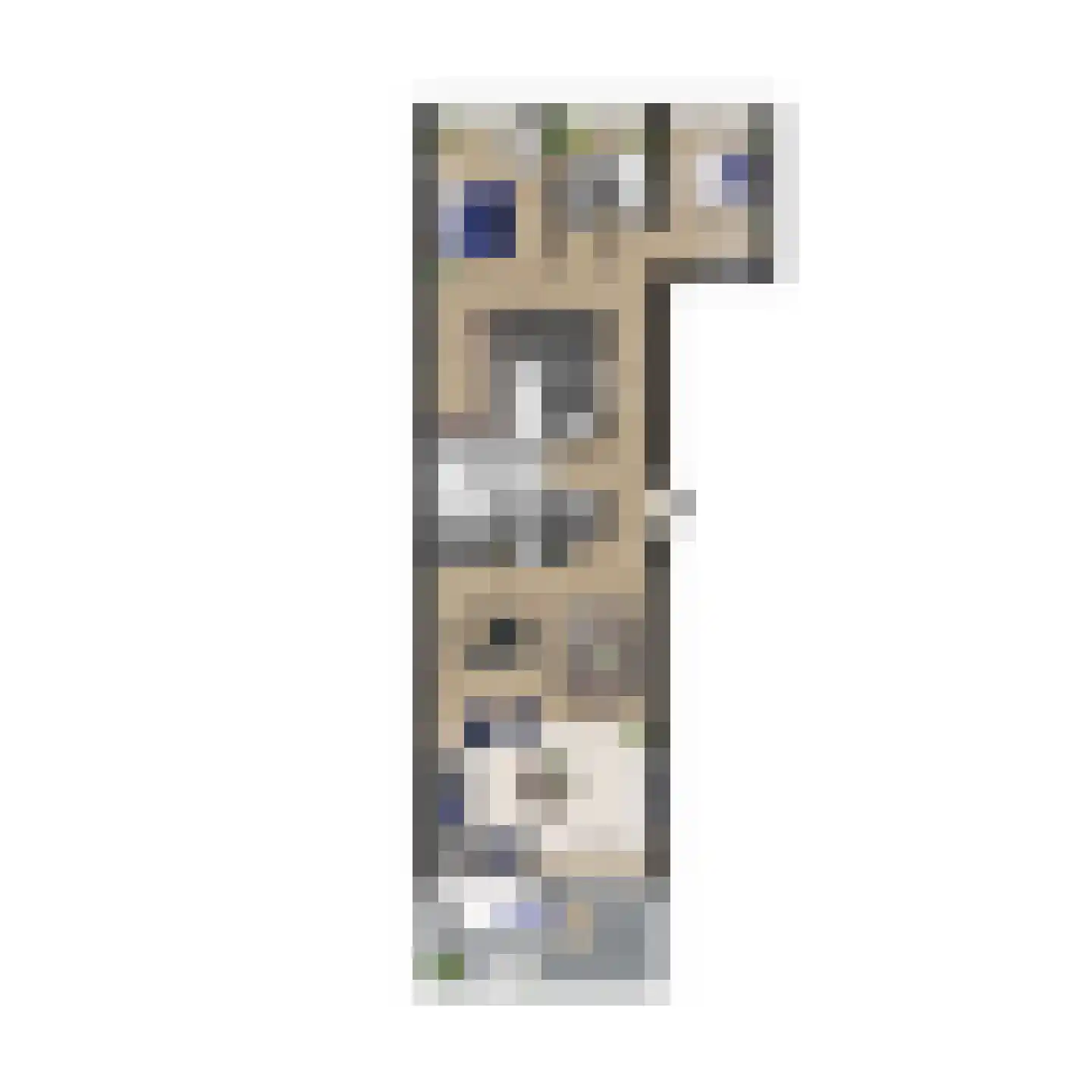 Oude Spoorhof 100 011 Eindhoven thumbnail 6
