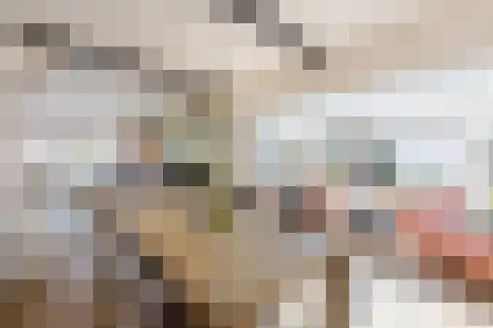 Oude Staat 12 Nieuwstadt thumbnail 10
