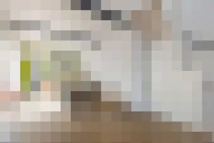 Oude Staat 12 Nieuwstadt thumbnail 15