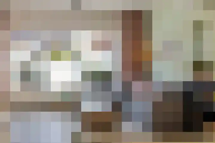Oude Staat 12 Nieuwstadt thumbnail 16