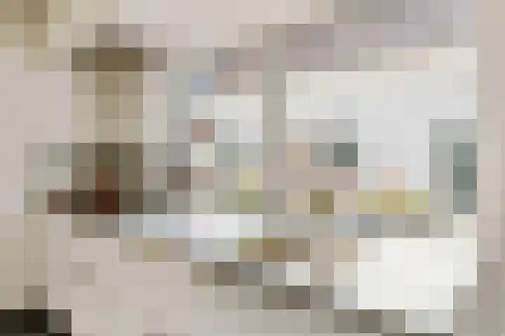 Oude Staat 12 Nieuwstadt thumbnail 20