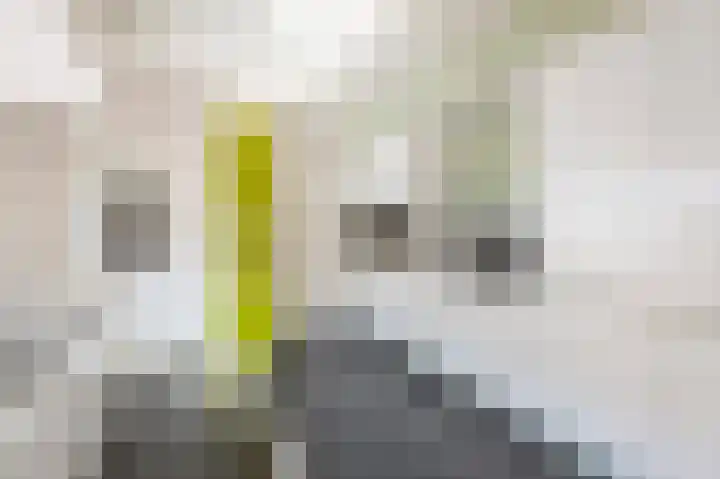 Oude Staat 12 Nieuwstadt thumbnail 22