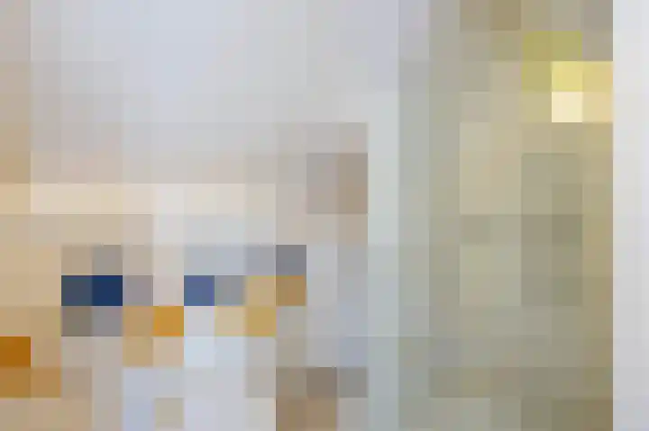 Oude Staat 12 Nieuwstadt thumbnail 38