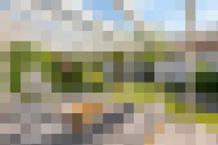 Oude Staat 12 Nieuwstadt thumbnail 4