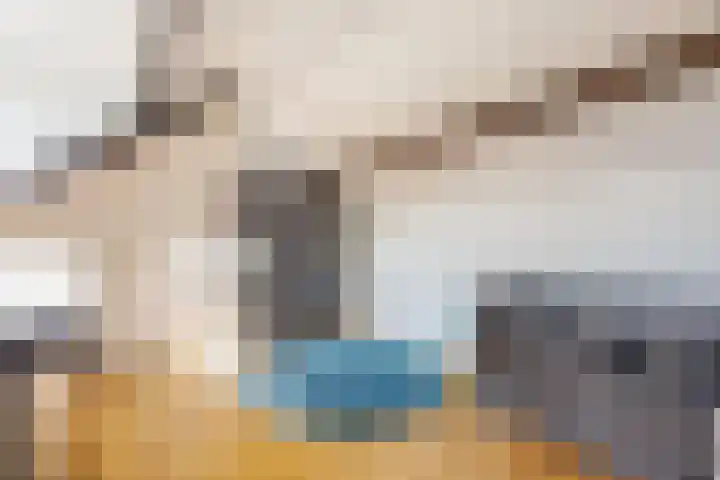 Oude Staat 12 Nieuwstadt thumbnail 45