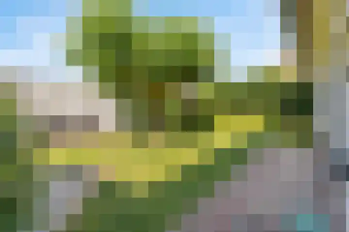 Oude Staat 12 Nieuwstadt thumbnail 48