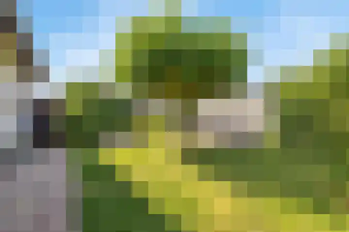 Oude Staat 12 Nieuwstadt thumbnail 49