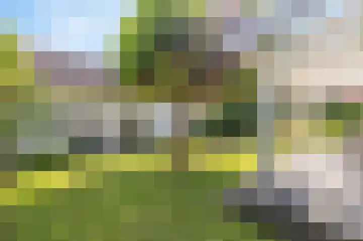 Oude Staat 12 Nieuwstadt thumbnail 51