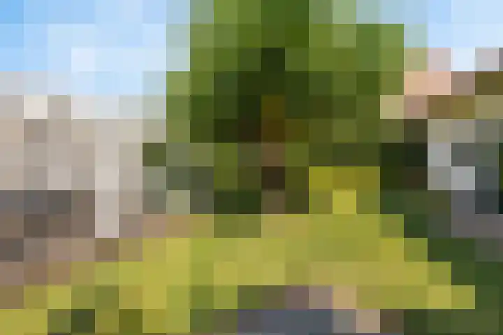Oude Staat 12 Nieuwstadt thumbnail 53