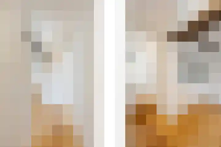 Oude Staat 12 Nieuwstadt thumbnail 8