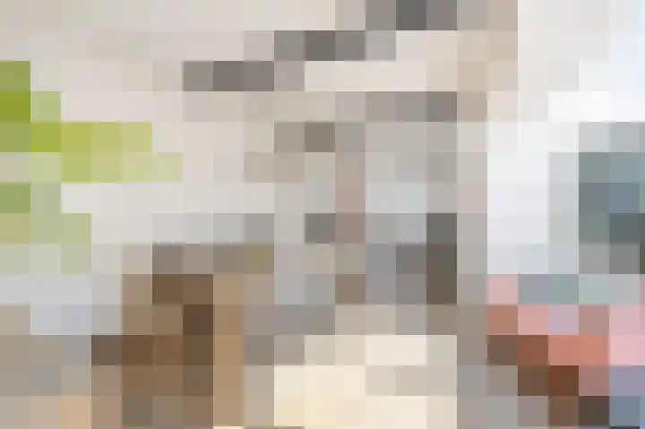 Oude Staat 12 Nieuwstadt thumbnail 9