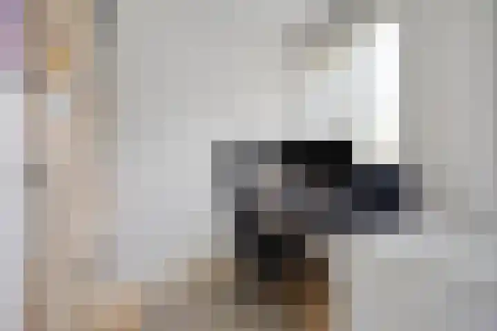 Oude Stationsweg 11 Bergen op Zoom thumbnail 14