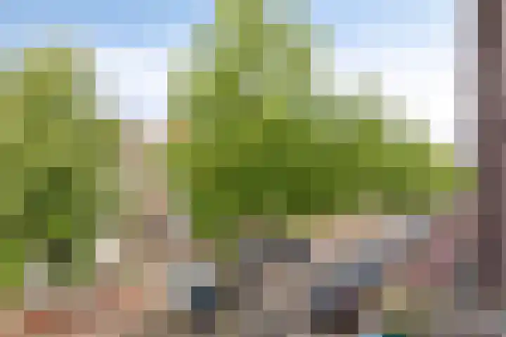 Oude Stationsweg 11 Bergen op Zoom thumbnail 19