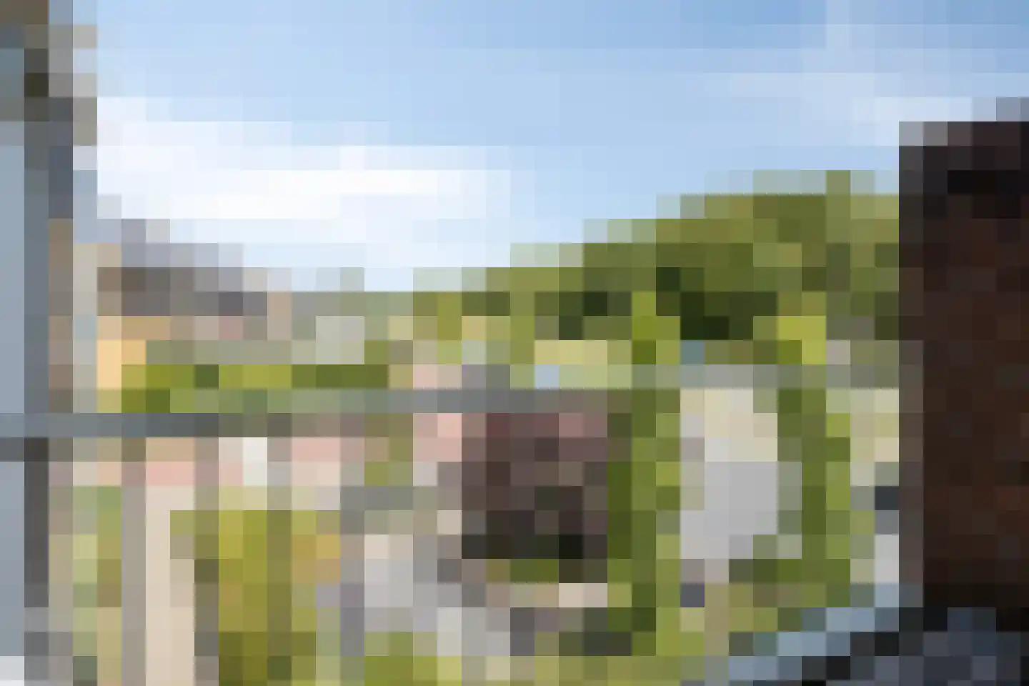 Oude Stationsweg 20 Zaltbommel thumbnail 25