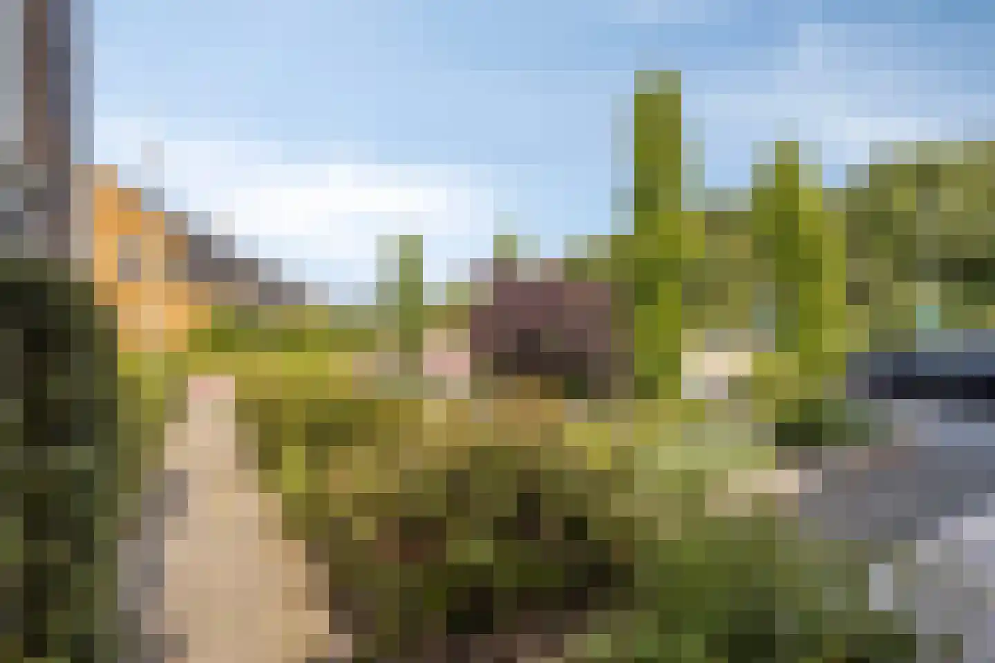 Oude Stationsweg 20 Zaltbommel thumbnail 34