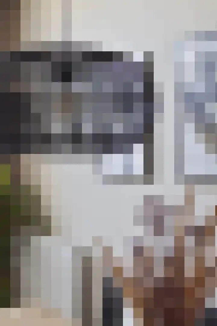Oude Stationsweg 37 a Bergen op Zoom thumbnail 18