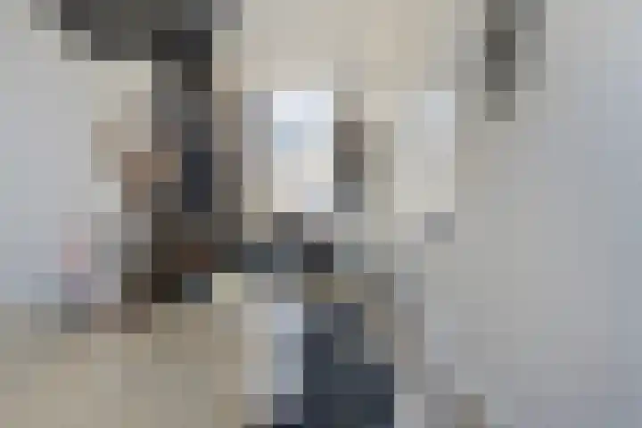 Oude Stationsweg 37 a Bergen op Zoom thumbnail 22