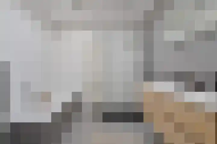 Oude Stationsweg 37 a Bergen op Zoom thumbnail 31