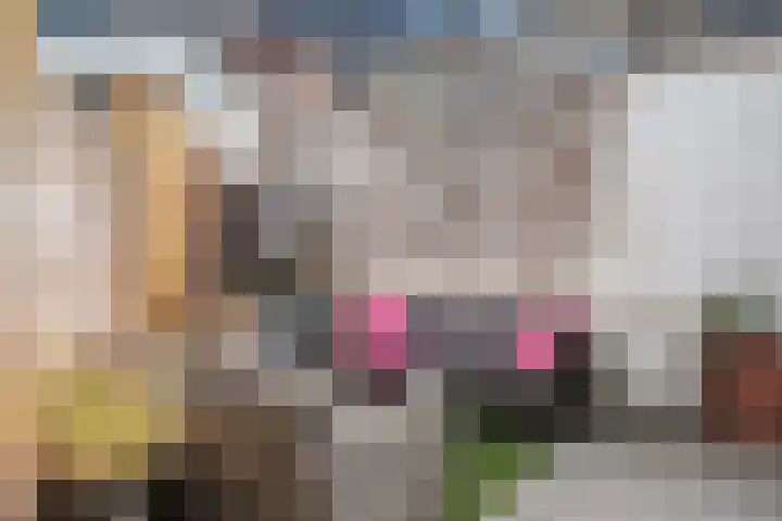 Oude Stationsweg 39 Bergen op Zoom thumbnail 24