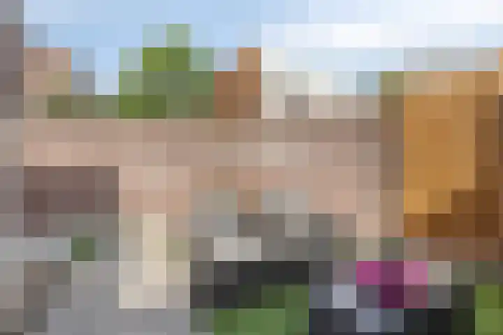 Oude Stationsweg 39 Bergen op Zoom thumbnail 26