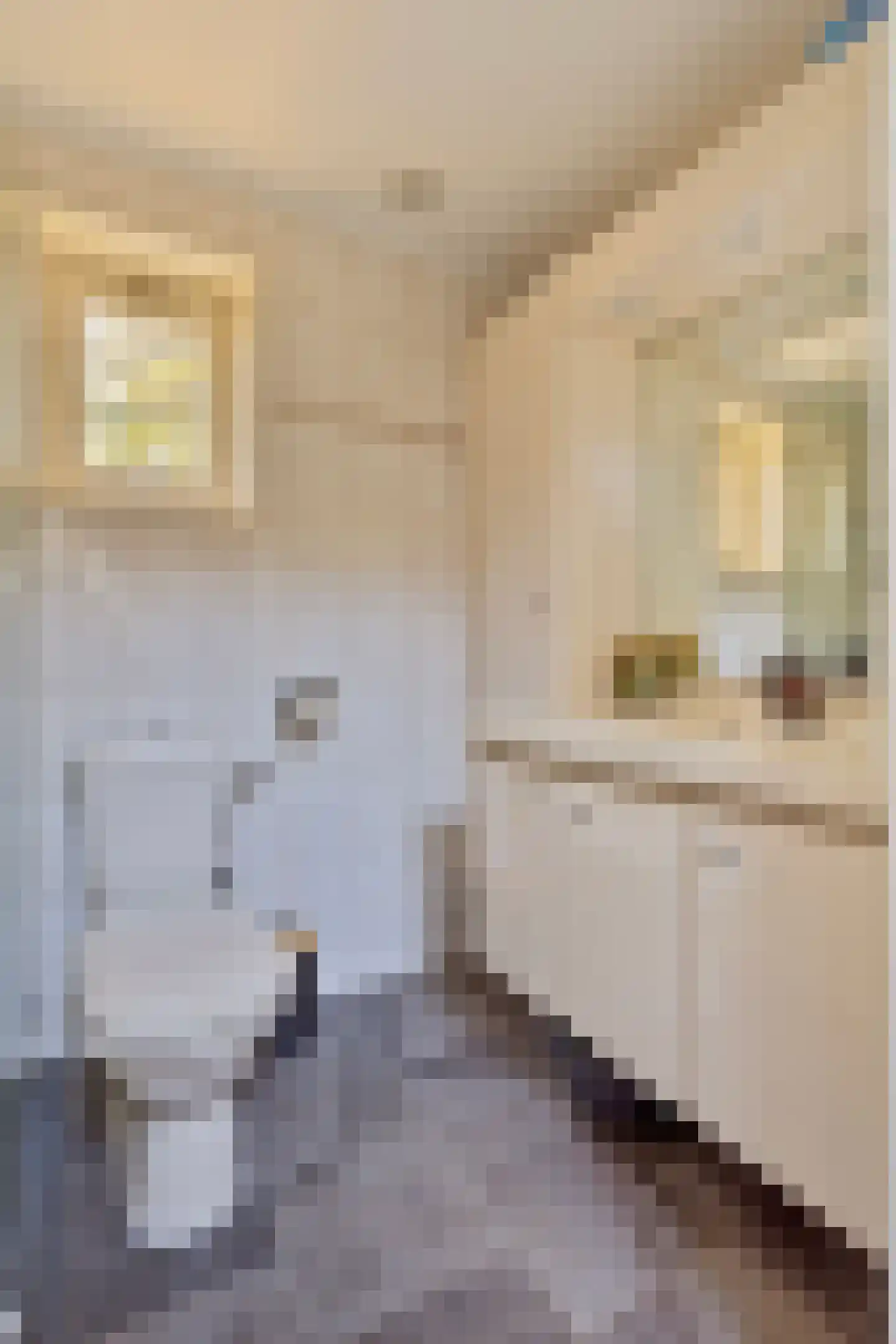 Oude Stee 11 Hoogerheide thumbnail 18