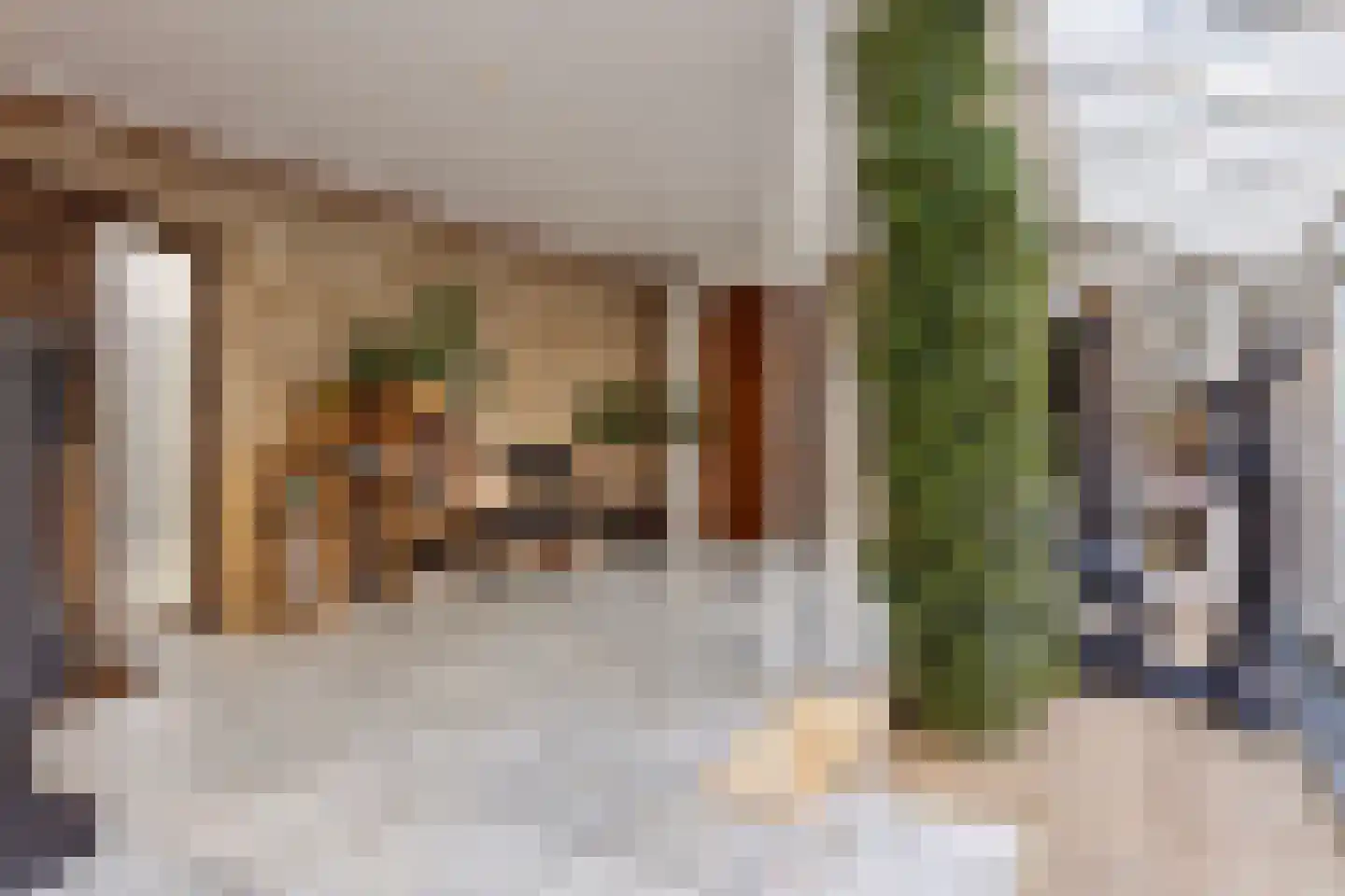 Oude Stee 11 Hoogerheide thumbnail 30