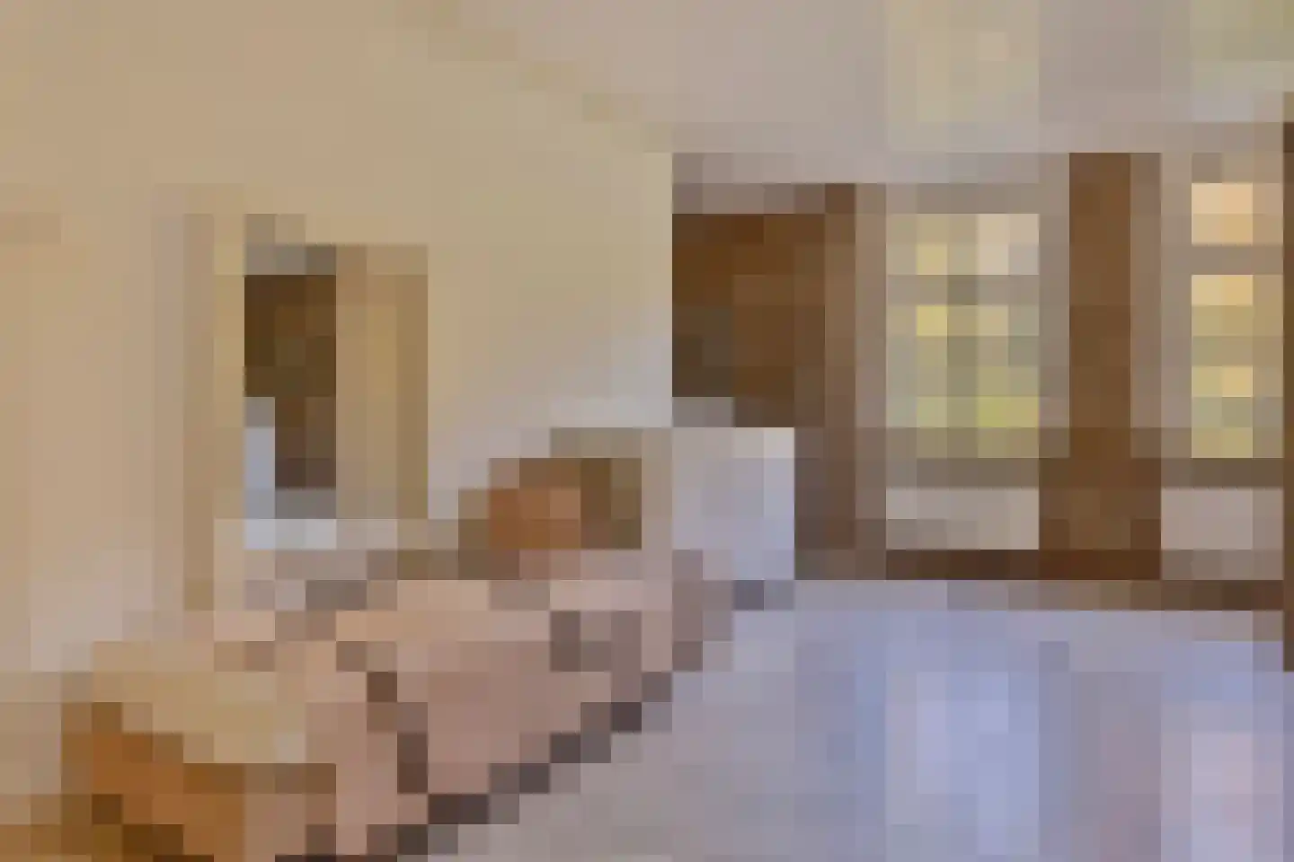 Oude Stee 11 Hoogerheide thumbnail 47