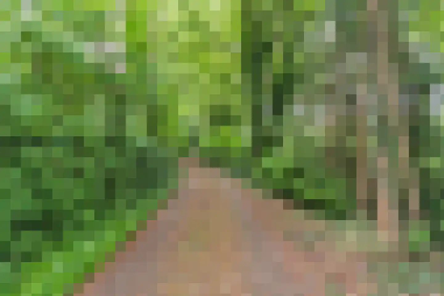 Oude Stee 11 Hoogerheide thumbnail 88