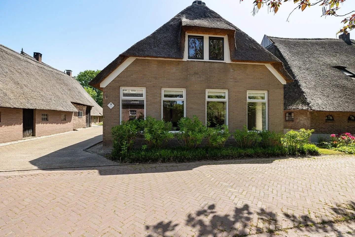 Oude Steeg 30 Gees thumbnail 6