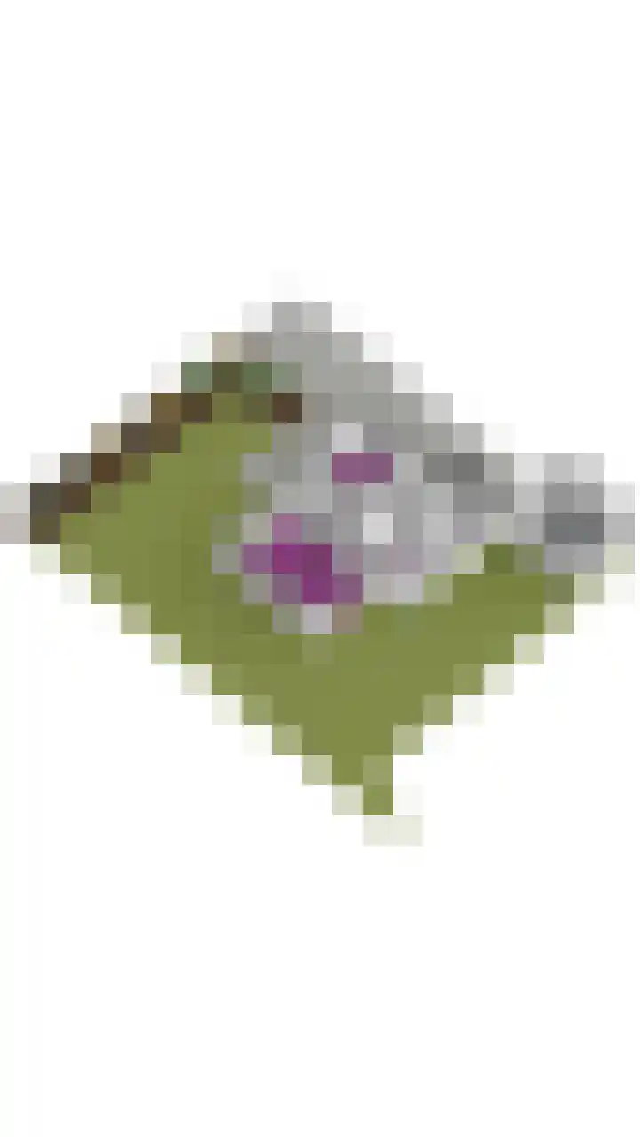 Oude Steenbraakweg 1 Groenlo thumbnail 37