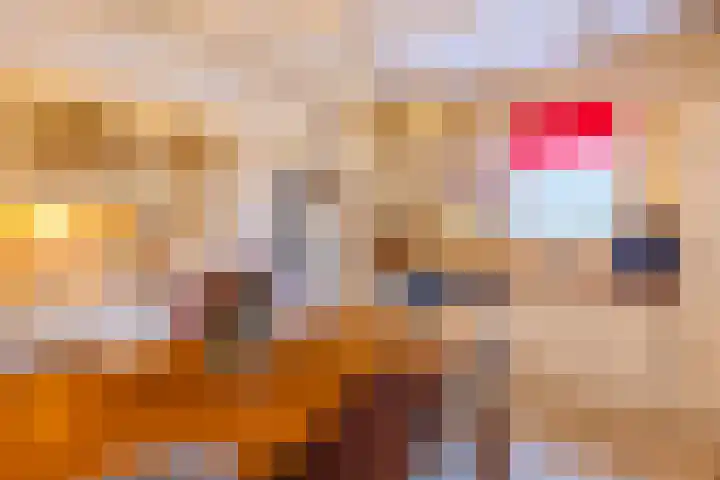Oude Steenbraakweg 1 Groenlo thumbnail 6