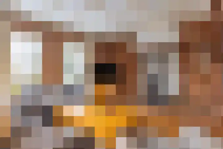 Oude Steenbraakweg 1 Groenlo thumbnail 8