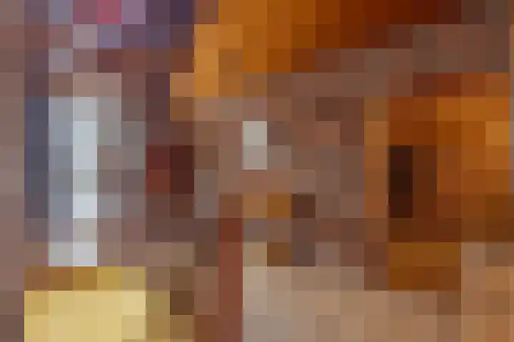 Oude Steenbraakweg 1 Groenlo thumbnail 9