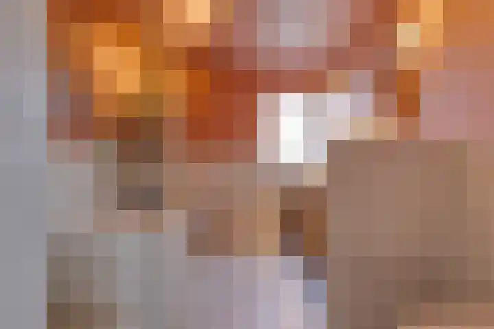 Oude Steenbraakweg 4 Groenlo thumbnail 15