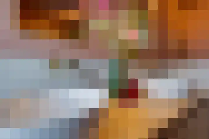 Oude Steenbraakweg 4 Groenlo thumbnail 16