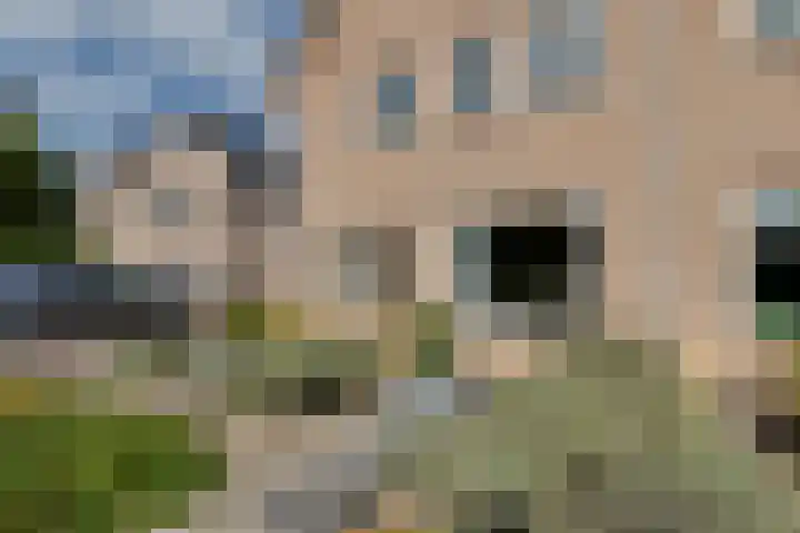 Oude Steenbraakweg 4 Groenlo thumbnail 32