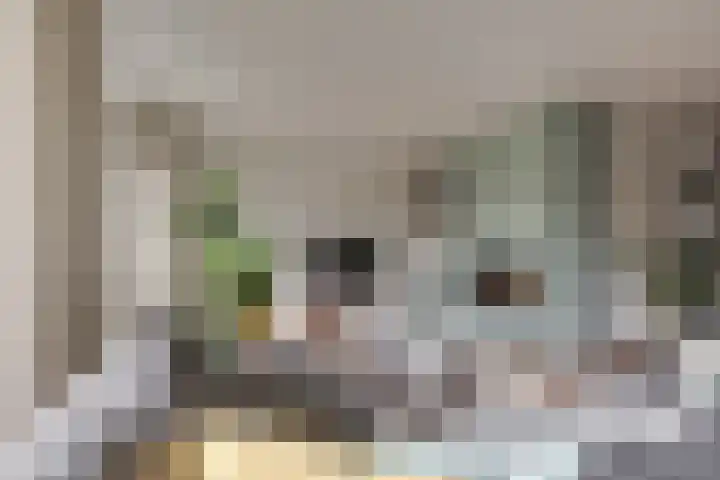 Oude Steenbraakweg 4 Groenlo thumbnail 5