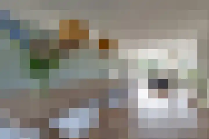 Oude Steenbraakweg 4 Groenlo thumbnail 8