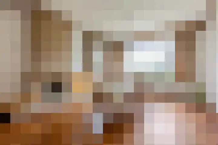 Oude Steenstraat 14 Oud Gastel thumbnail 13