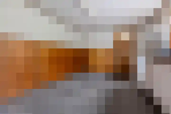 Oude Steenstraat 14 Oud Gastel thumbnail 20