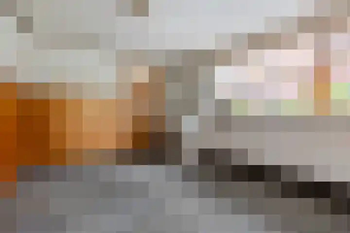 Oude Steenstraat 14 Oud Gastel thumbnail 21